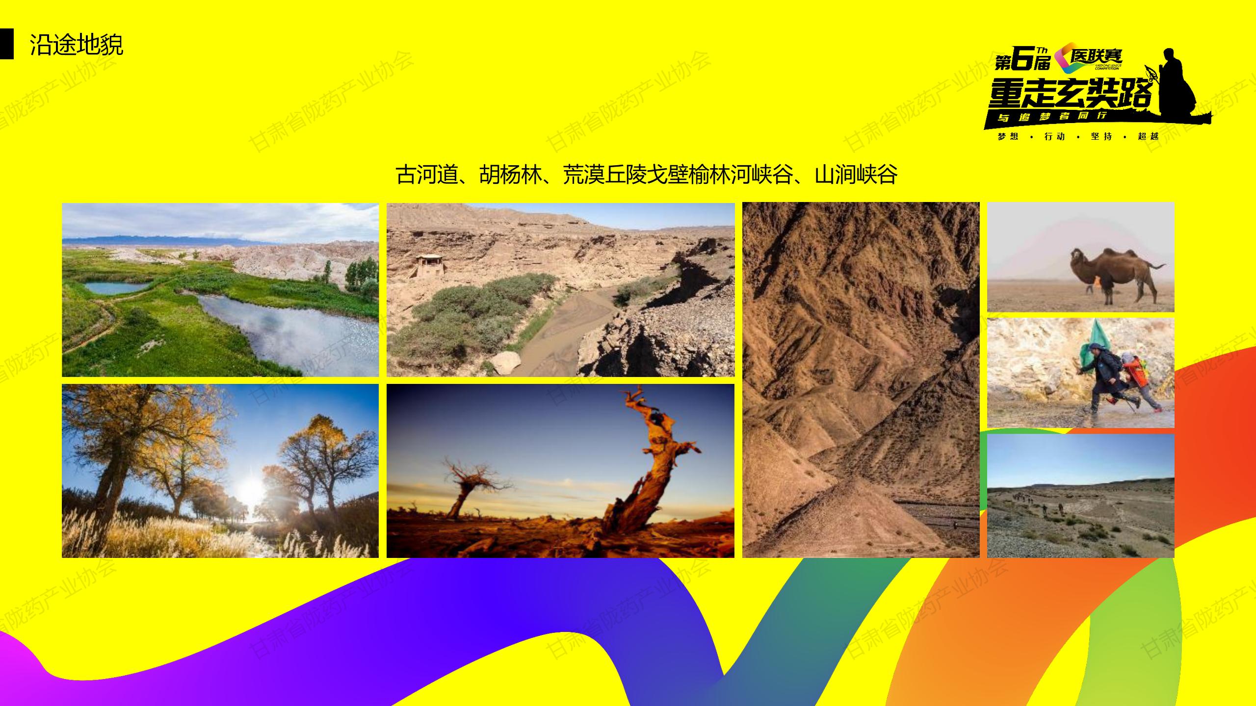 第六届医联赛-重走玄奘路陇药展区合作方案--网站_25.jpg